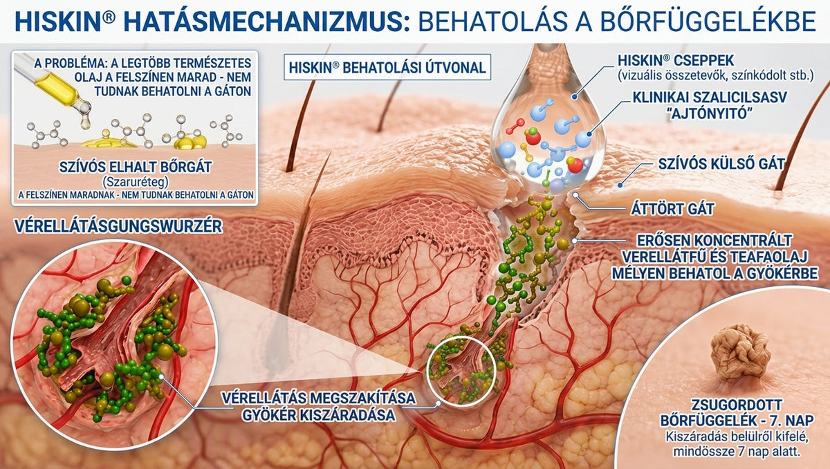 𝐇𝐢𝐬𝐤𝐢𝐧® 2 az 1-ben fejlett, fájdalommentes és hegmentes bőrmegújító krém – bőrkinövések, szemölcsök és látható bőrhibák ellen